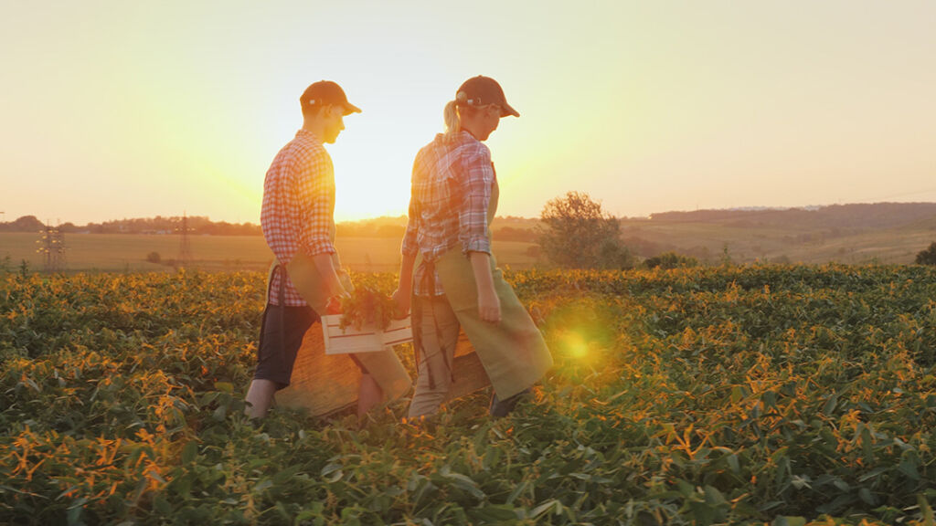 UV light sunset, two farmers walking in field